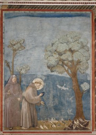 St Francis preaching to the birds. Traditionally attributed to Giotto, ca.1266-1337. 